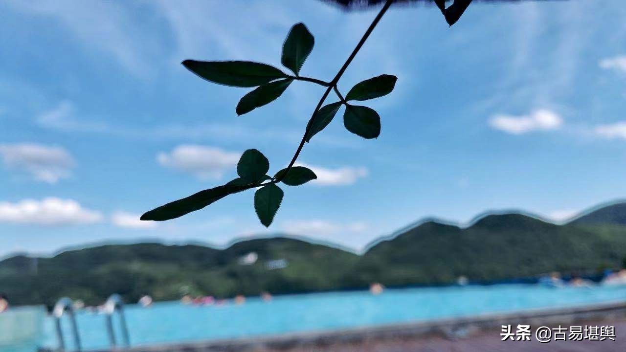 �洫�����ƶ�ʮ��������ֵ�ꡢ�ܾ֣�����������