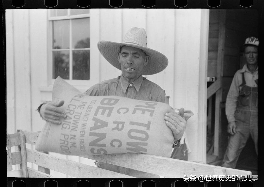 大萧条时期：美国政府专门聘请了一群摄影师拍