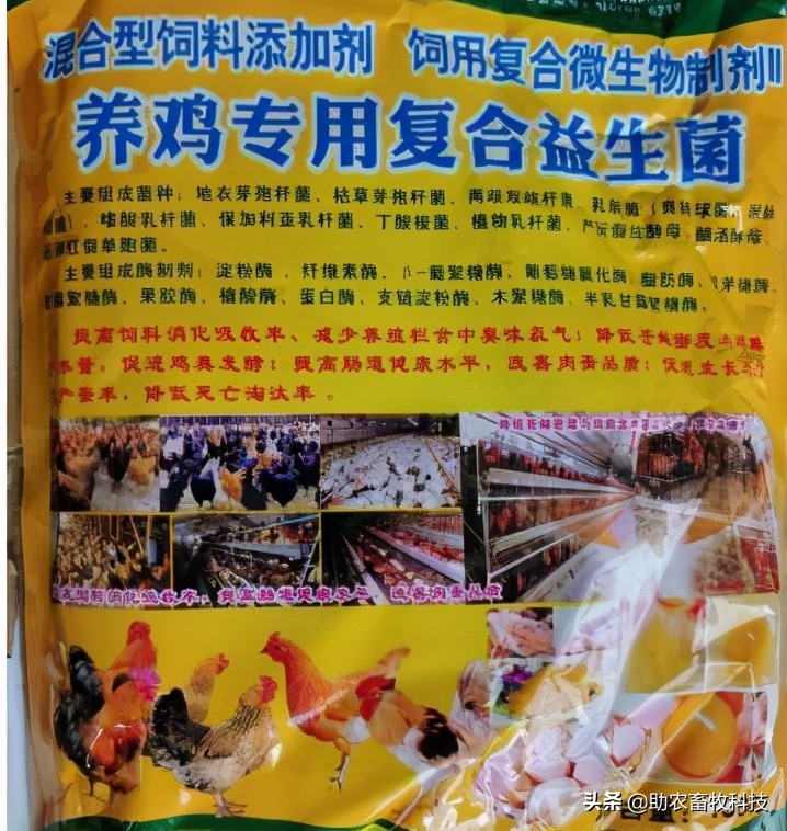 肉鸡养殖使用养鸡专用复合益生菌好处多