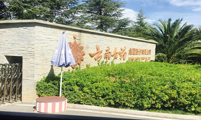 美国巨头占领中国市场，医药公司转行做牙膏，抢回国内市场