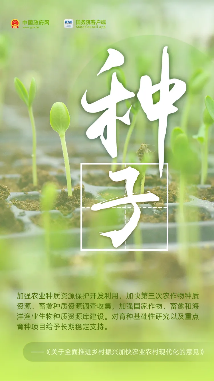 農(nóng)民朋友們,!過節(jié)了!