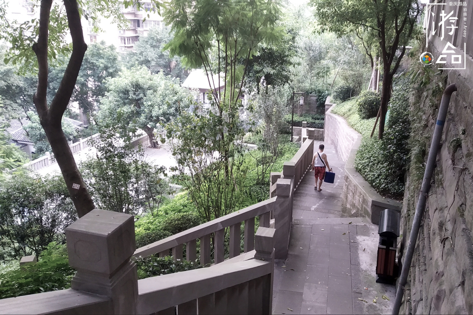 重庆最特别的花鸟集市，距离解放碑不到500米，每周仅开放一天
