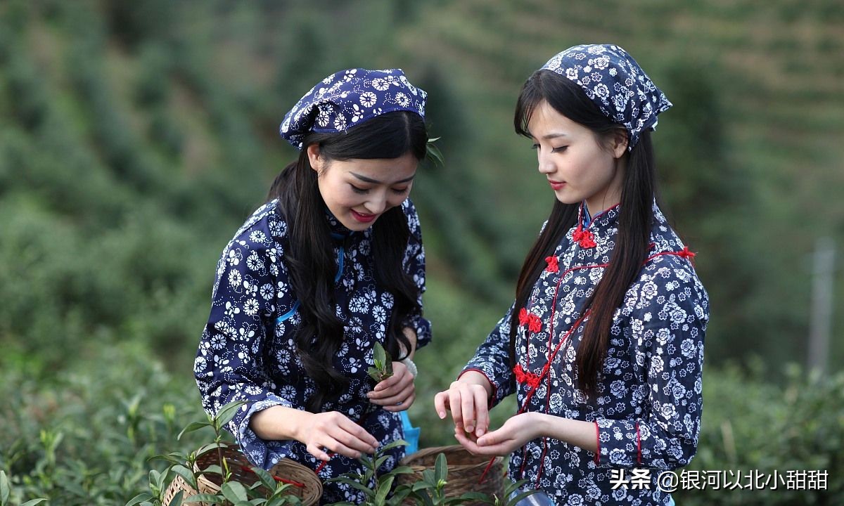 喝完茶胃很餓：茶多酚里這類物質(zhì)高達(dá)75%，多喝會(huì)年輕