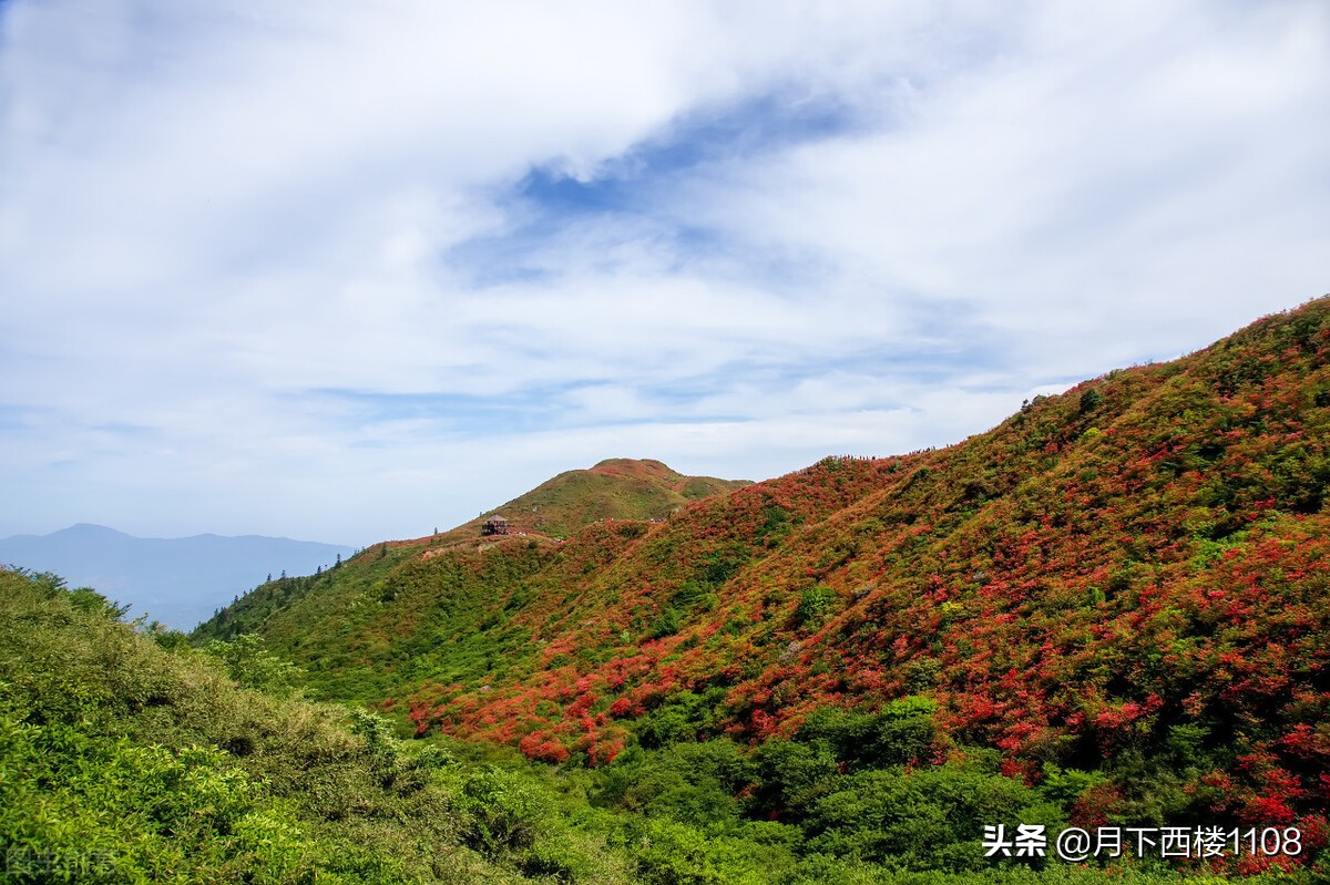 湖南常宁：又是一年春好景，美丽经济助力乡村振兴！
