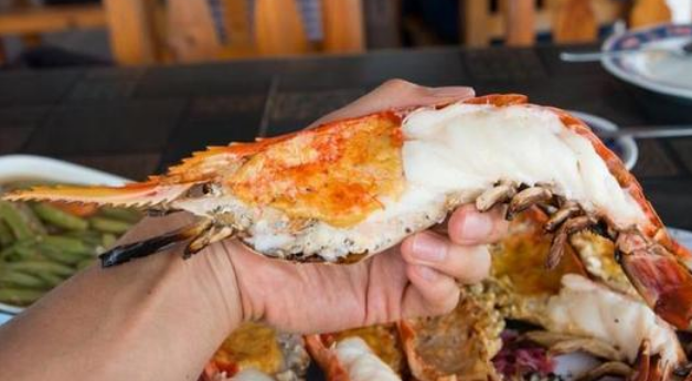 湄公河鱼虾泛滥，一只虾有巴掌大，为什么吃货