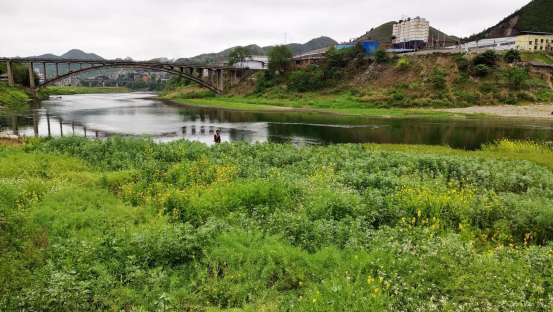 贵州省凯里市：绘好山水画卷 推动绿色经济惠及更多群众