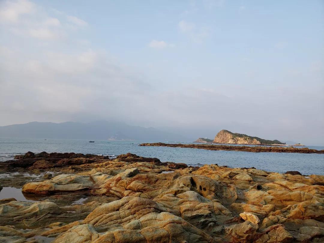 冬天看海的执念，就让温暖的深圳帮忙实现
