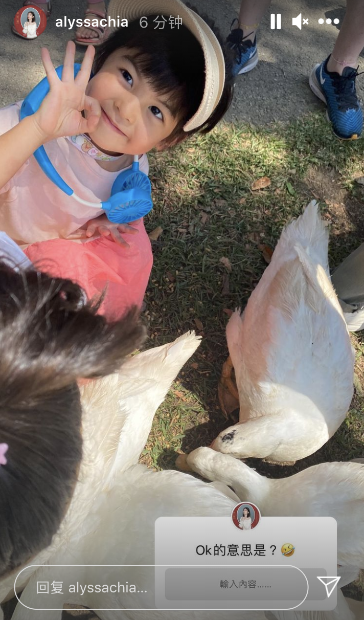 賈靜雯帶三個女兒牧場遊玩，梧桐妹雙手拎起咘咘波妞，姐姐力max