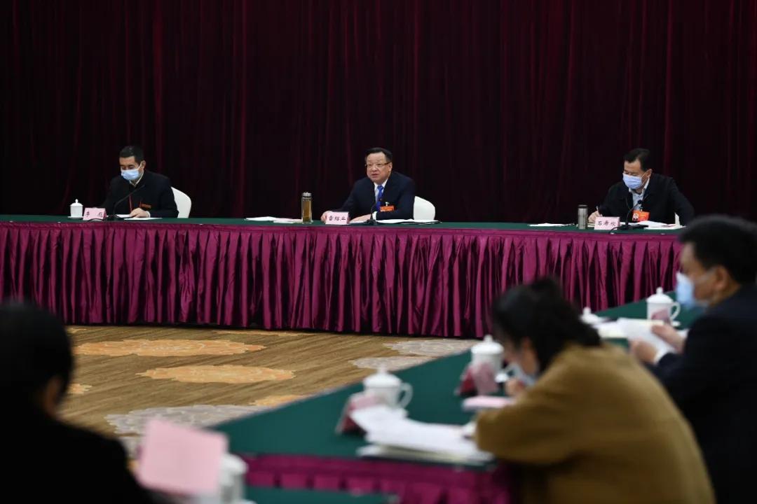 怀化代表团举行全体会议 推选彭国甫为怀化代表团团长，雷绍业、石希欣为副团长