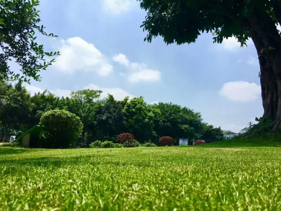 “乘风破浪”的武侯实验，让每一颗优质的种子，骄傲起来