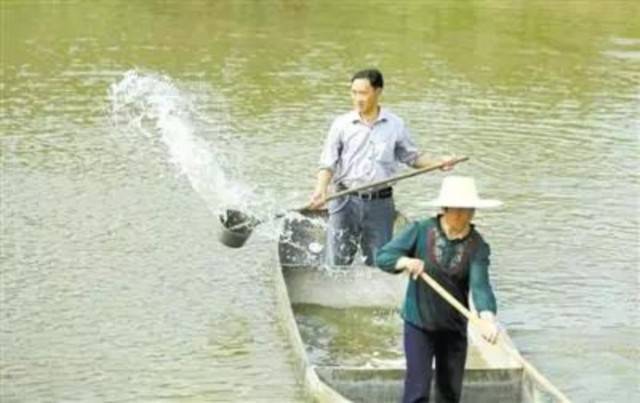 你不了解“淤泥過厚”的四大危害