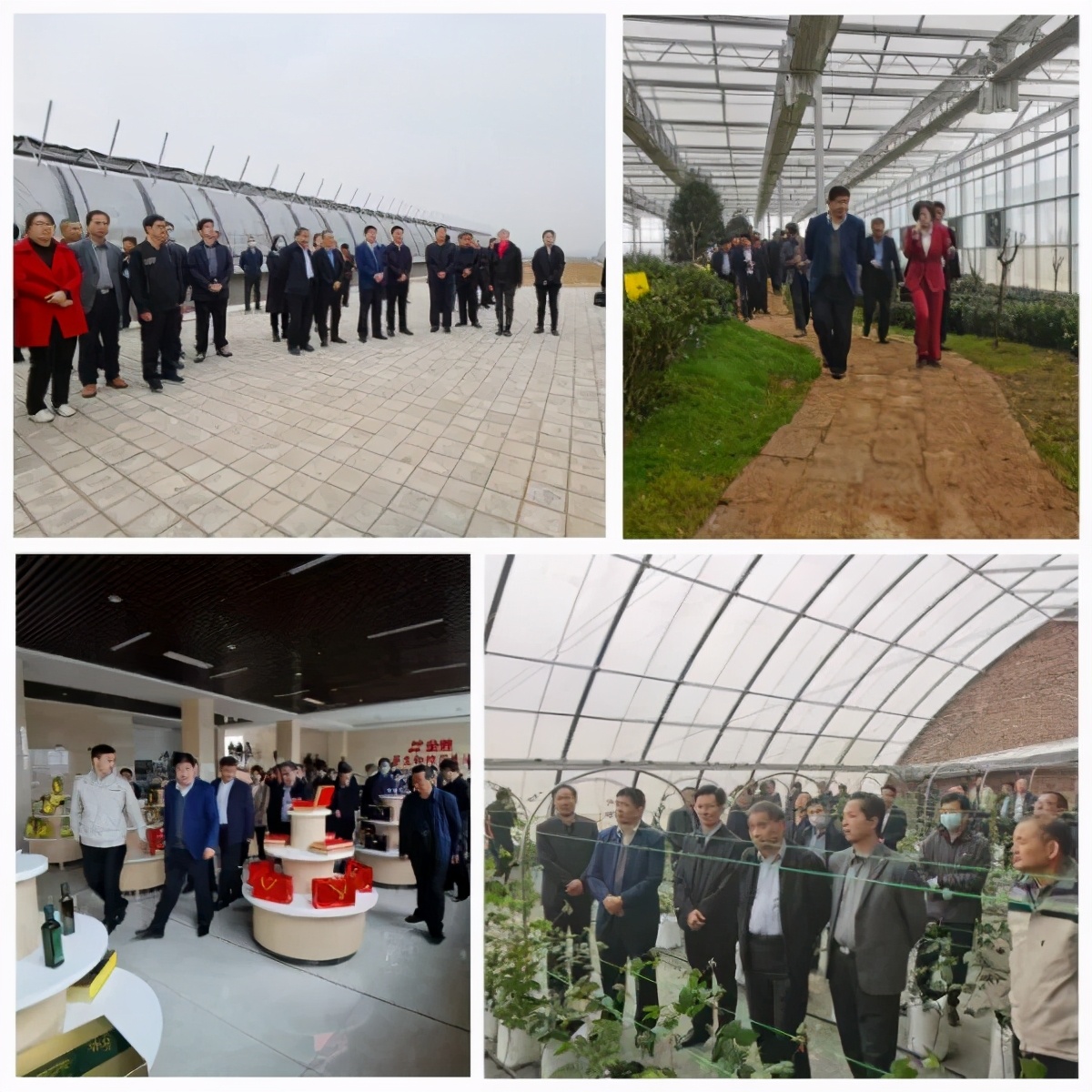临沂市农业农村局开展乡村振兴学习研讨活动