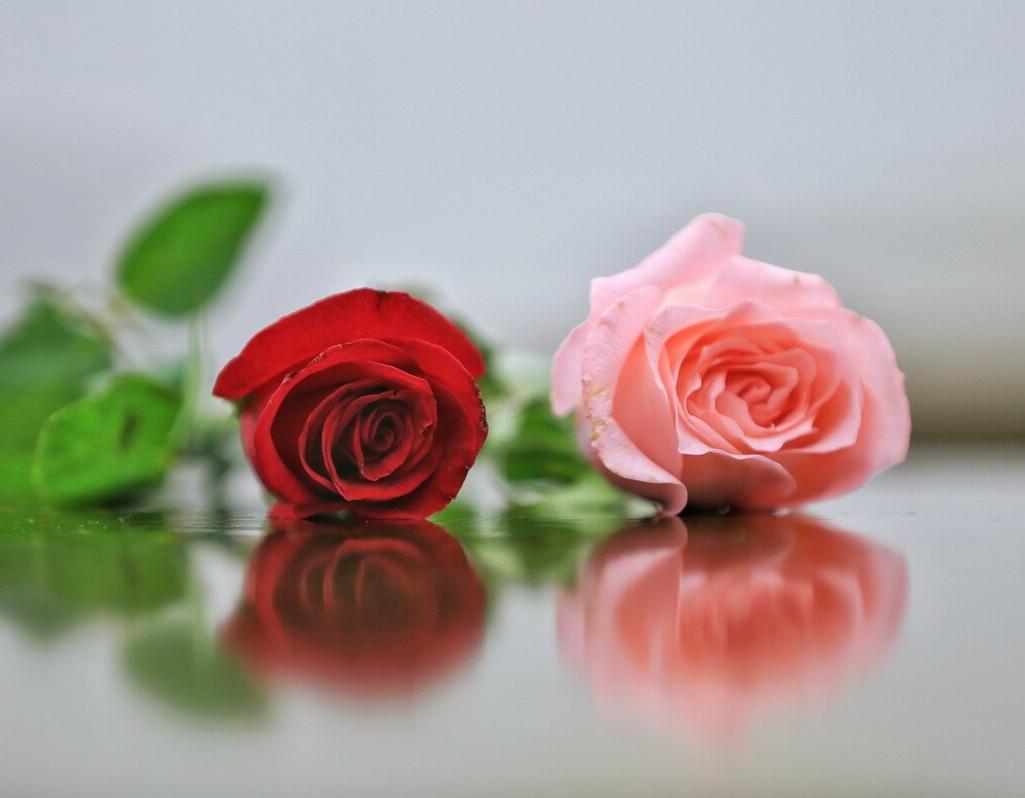 为了余生不悔，勇敢表白吧