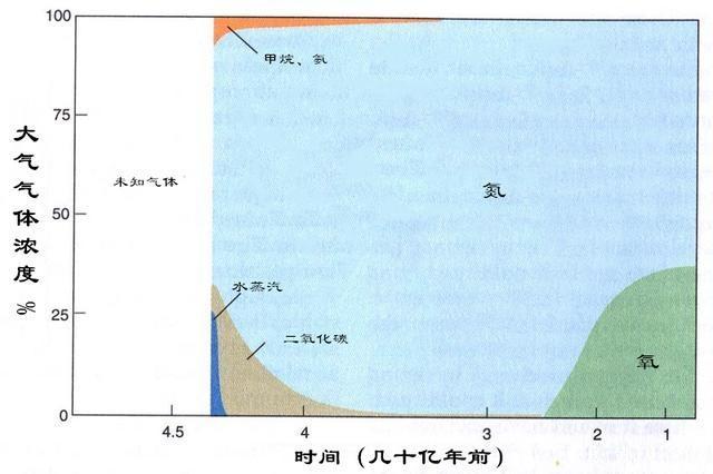 為什麼要禁放氦氣球？ 看140萬個氦氣球帶來的災難，你就明白了