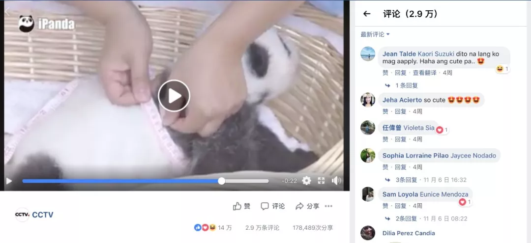 租借大熊猫每年每只100万美元，租期10年，最后，