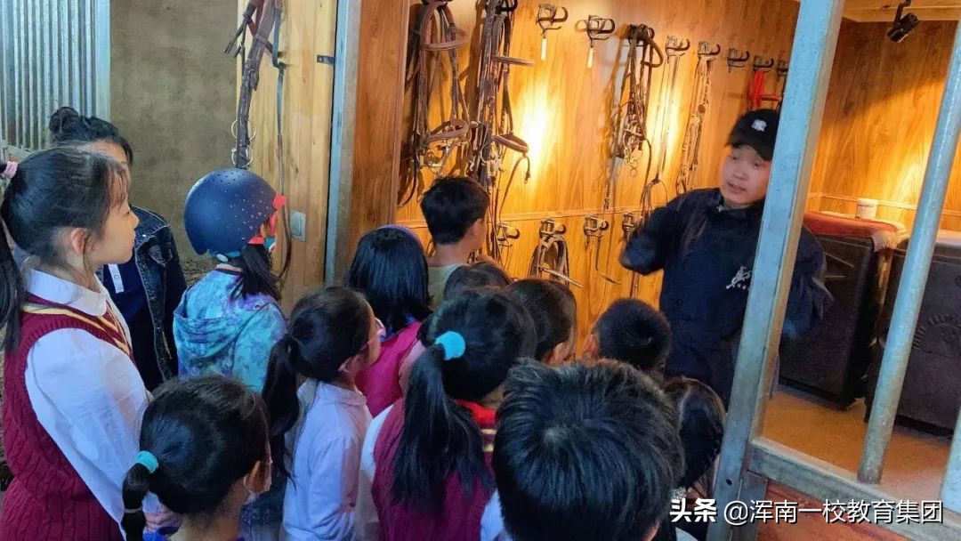 渾南區(qū)第一小學(xué)怎么樣?‘‘智慧+’’開(kāi)課啦！(圖9)