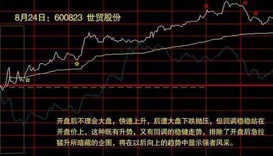 北大女博士罕见发声：如果有50万资金，高分红的