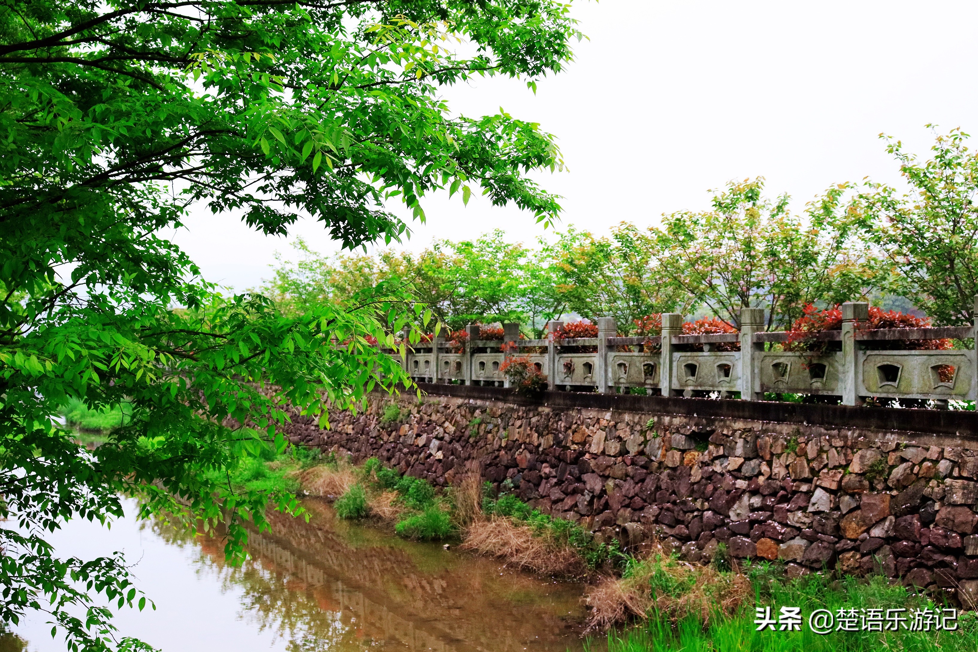 寧波東金峨村 同樣可以登山看杜鵑花 村頭有千年古剎 風景秀麗 楚語樂遊記 Mdeditor