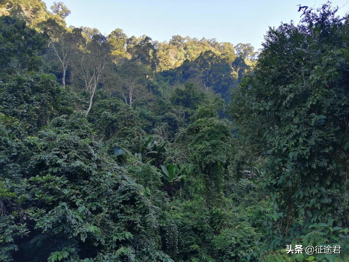 去河口旅游别忘了这个地方，景色漂亮还免费