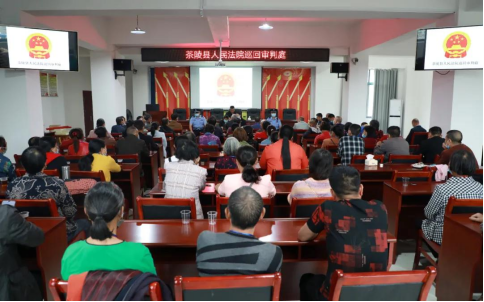 「我为群众办实事」茶陵法院开展巡回审判 把法律送到群众家门口