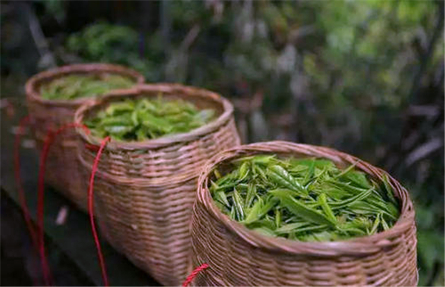 一流产品、二流包装、三流价格、四流营销，中国茶叶如何破局？