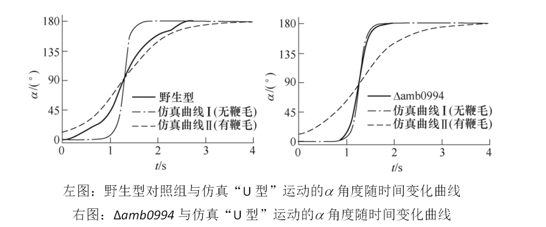 中科院電工所陳海濤 等：趨磁細(xì)菌運(yùn)動(dòng)學(xué)特性分析及與鞭毛的關(guān)系