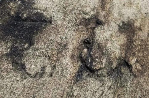 重大考古发现：合肥首次发现大规模史前凹穴岩画群