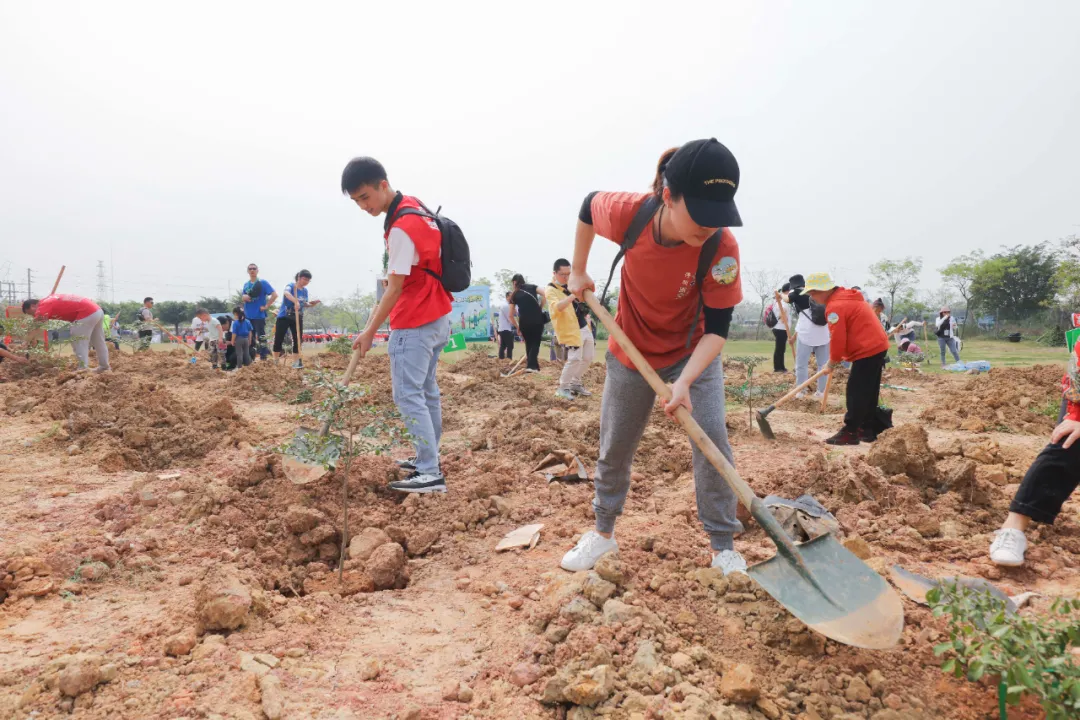 奥运冠军携网友一起植树！第三届网友植树节在盈香顺利举行