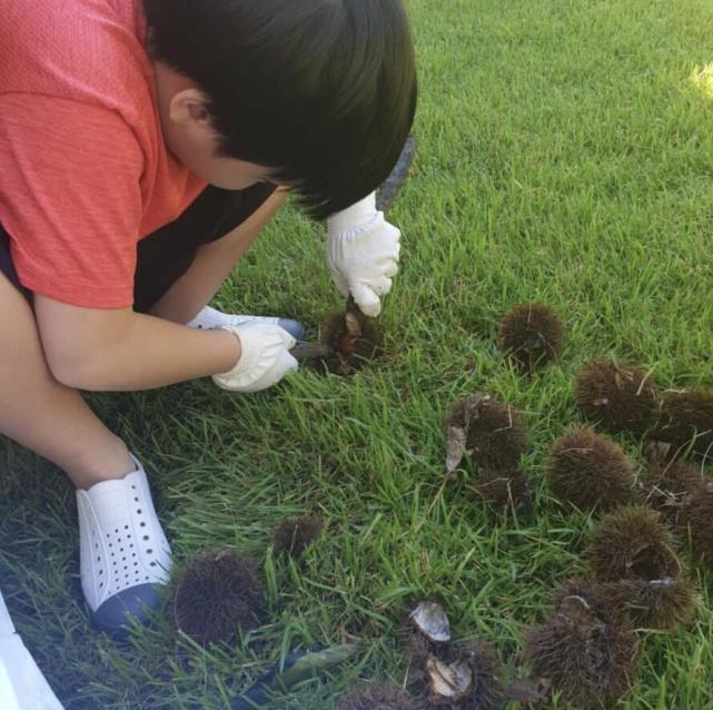 49岁李英爱带孩子玩，9岁龙凤胎身高到妈妈肩膀，女儿可爱漂亮
