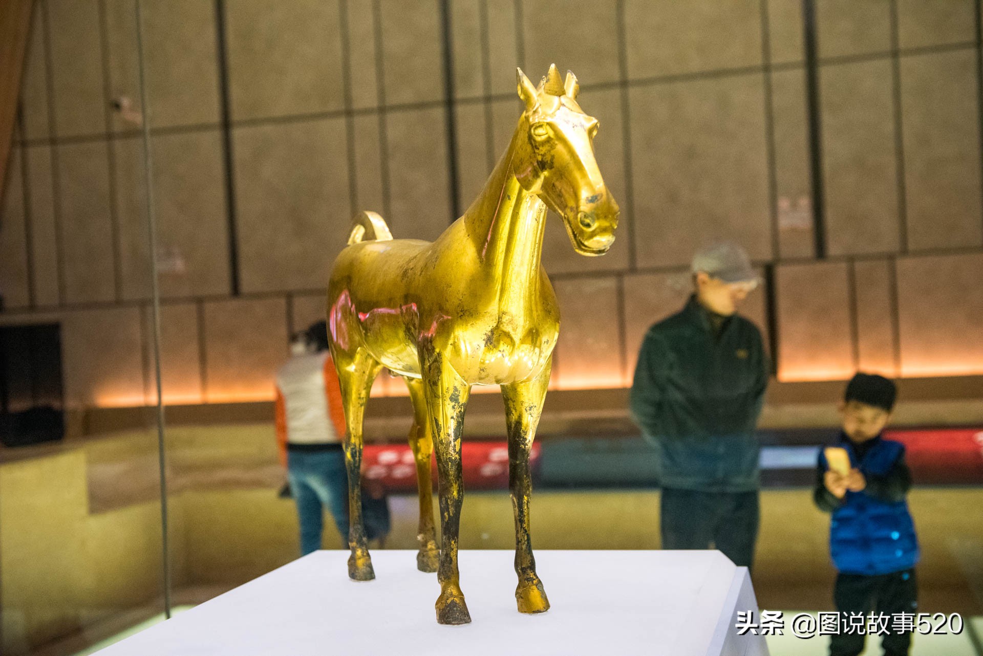 汗血寶馬多少錢一匹,純種汗血寶馬多少錢一匹