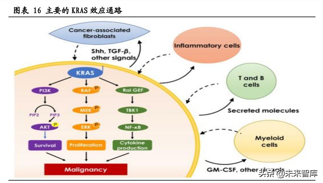 伴随诊断行业研究：核心技术突破不断，伴随诊断迎高速发展期
