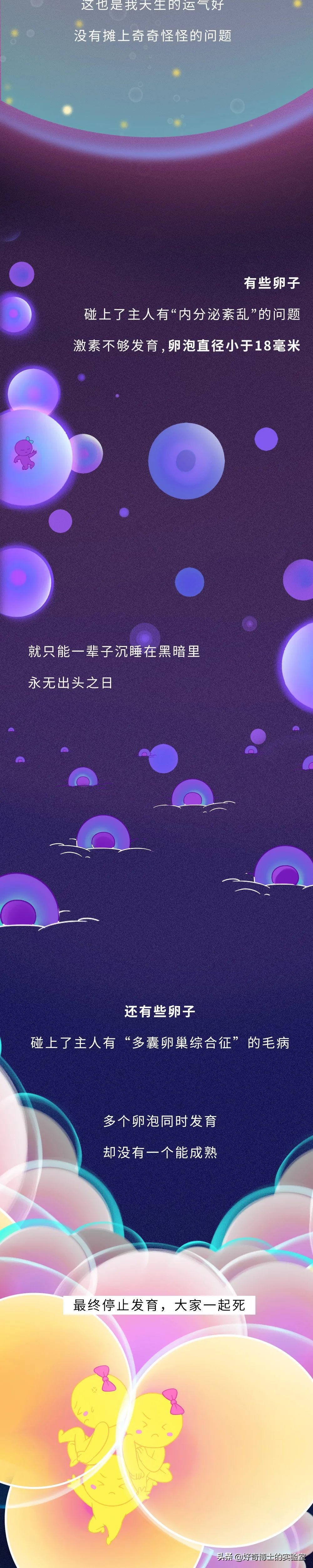 你對女生的卵子根本一無所知