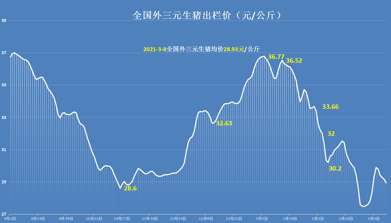 8日豬價再“跳水”，行情遇冷“一片綠”，3月豬價要一綠到底？