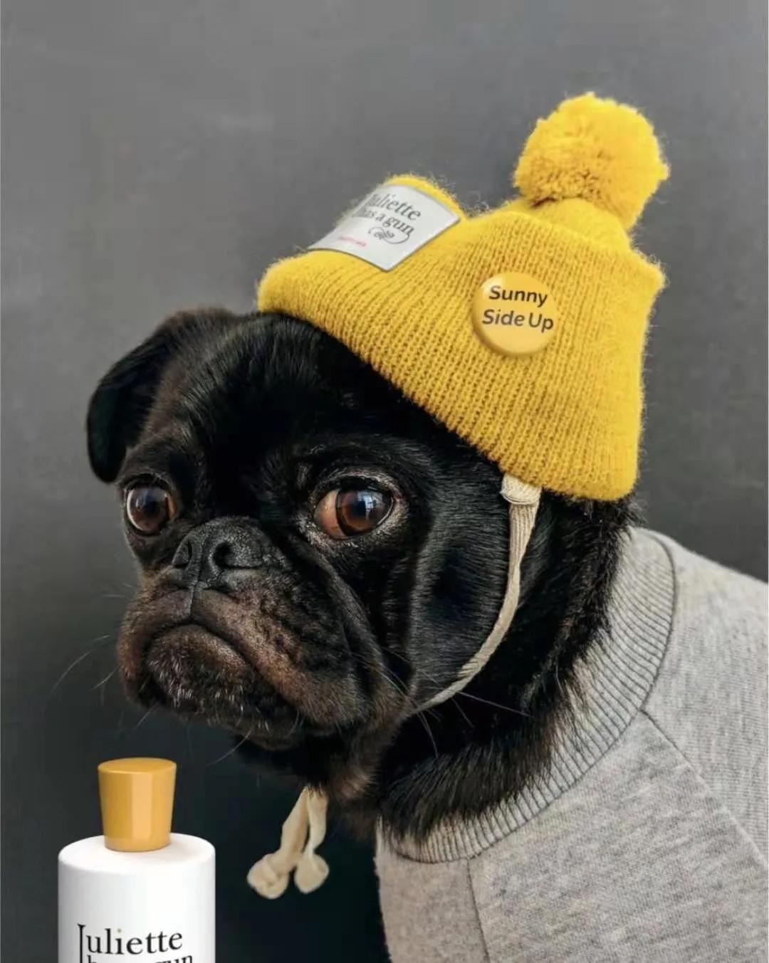 USHOPAL完成D轮近一亿美金融资