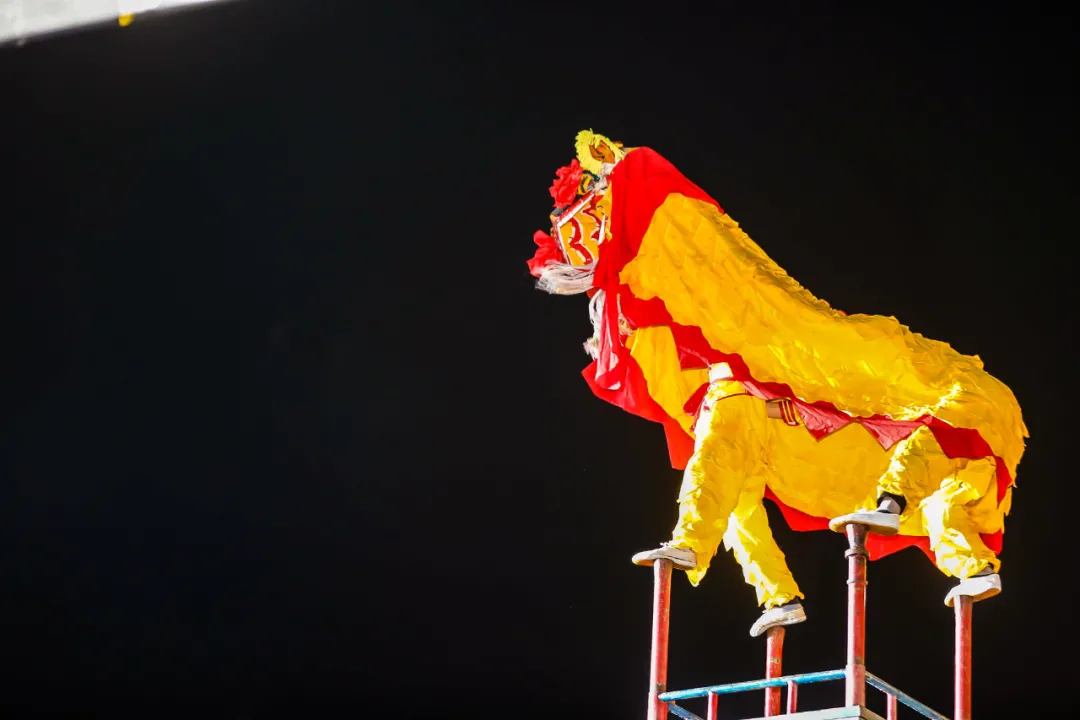 中国丹寨非遗周丨近200件药物标本参展黔东南州苗侗医药文化展
