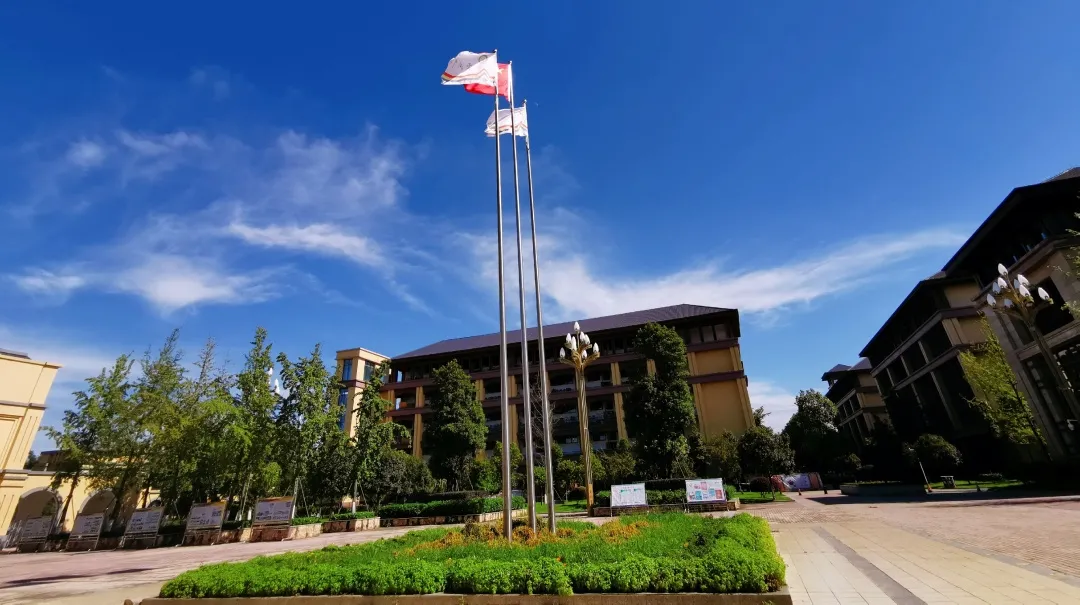 实践 渐进 提升丨双流区棠湖中学开展通用技术“深度学习”教研会