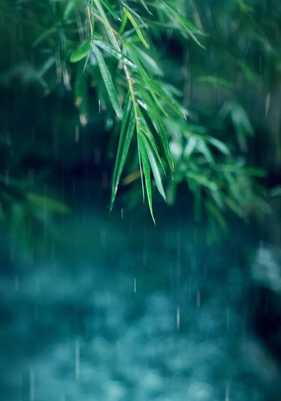 让小雨驱散夏日的炎热-第23张图片-非凡网