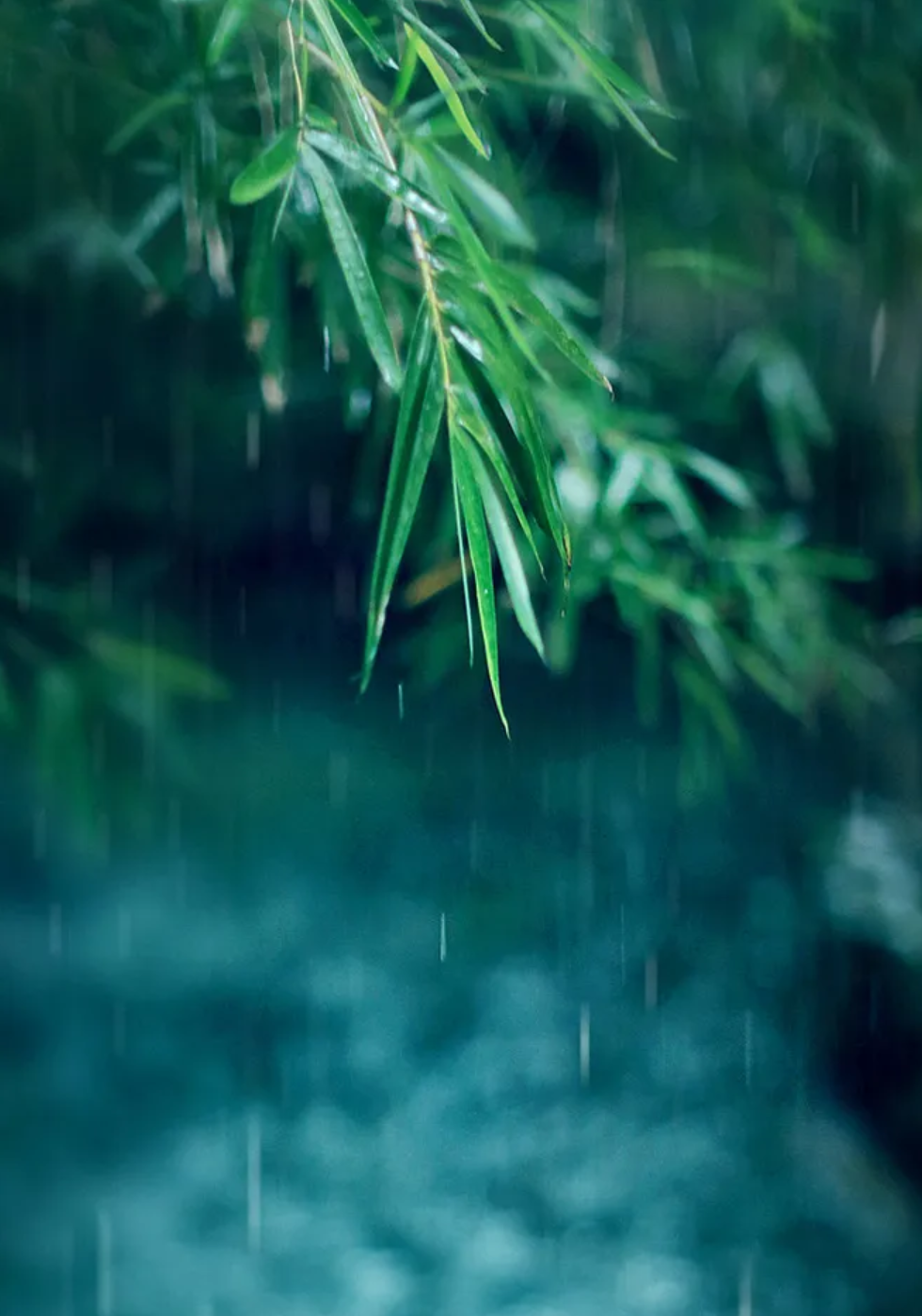 让小雨驱散夏日的炎热-第23张图片-诗句网