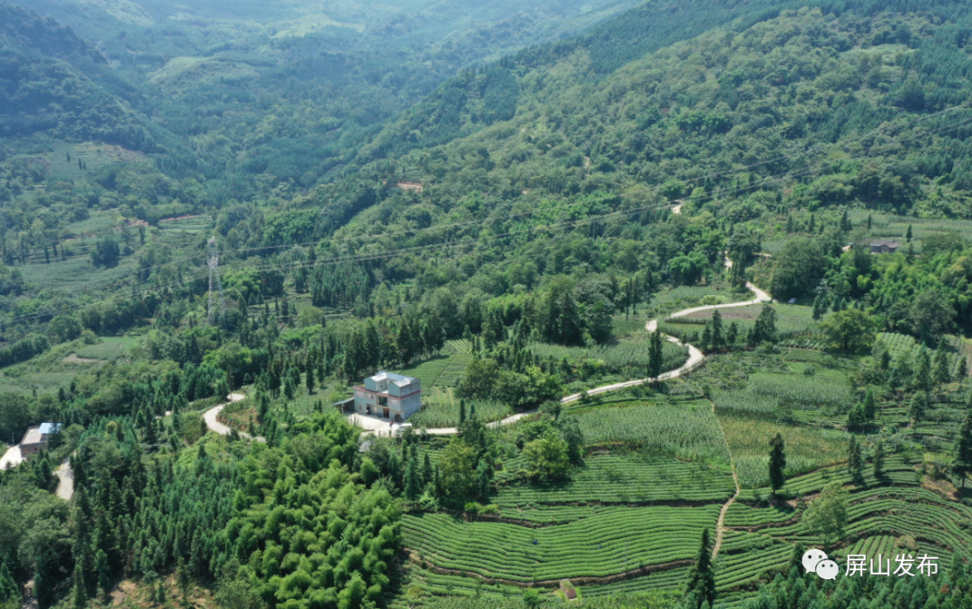 夏溪乡环境整治让村庄迎来发展的春天