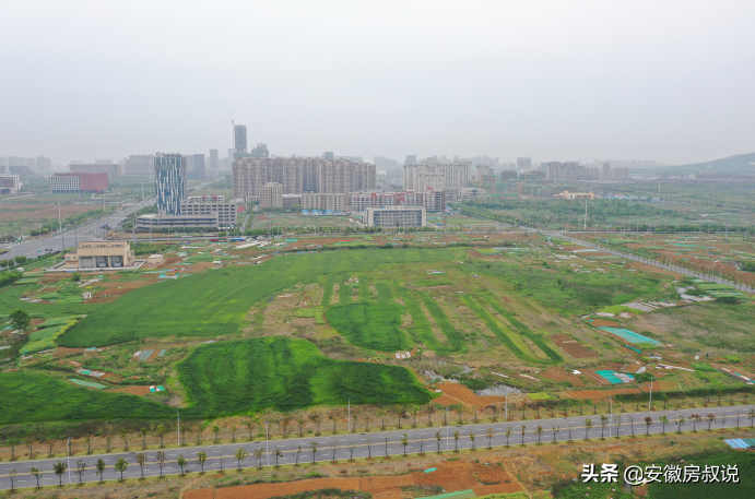 激战，合肥14日土拍揽金82.74亿！突破限价，房企