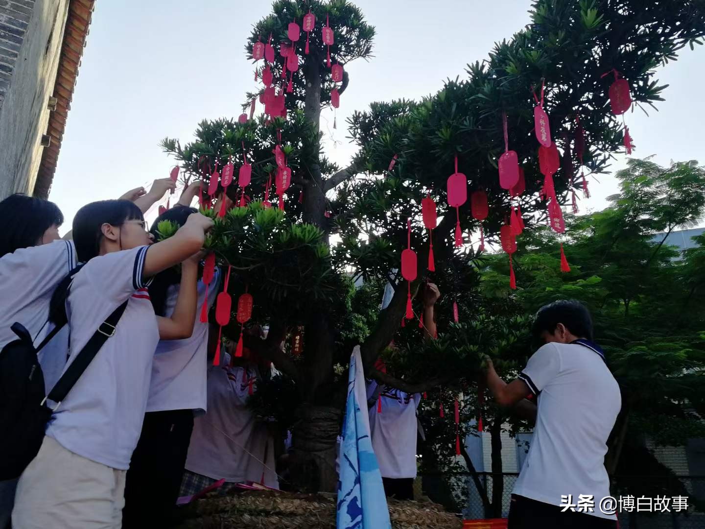 廣西縣中學(xué)舉行考前動(dòng)員大會(huì)!氣勢(shì)如虹(圖27) 廣西縣中學(xué)舉行考前動(dòng)員大會(huì)!氣勢(shì)如虹(圖27)