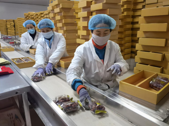 新疆若羌县：新年伊始开工忙 企业生产赶订单