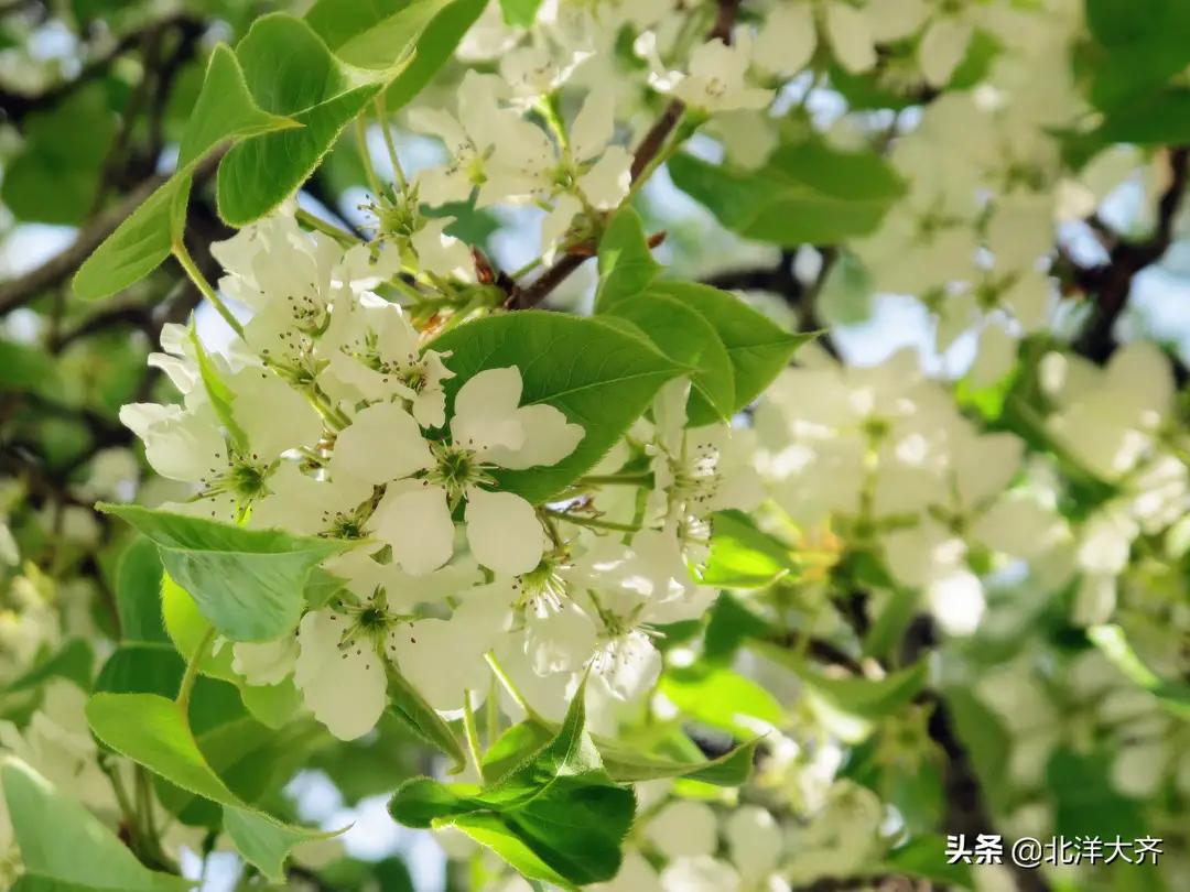 我一直自信的以为和妖小蛮妹妹的友谊虽然淡若清水却牢不可分