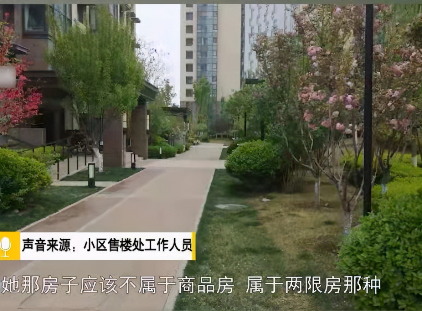 女子丢狗悬赏北京一套房，网友连夜找狗，物业泼冷水：两限房