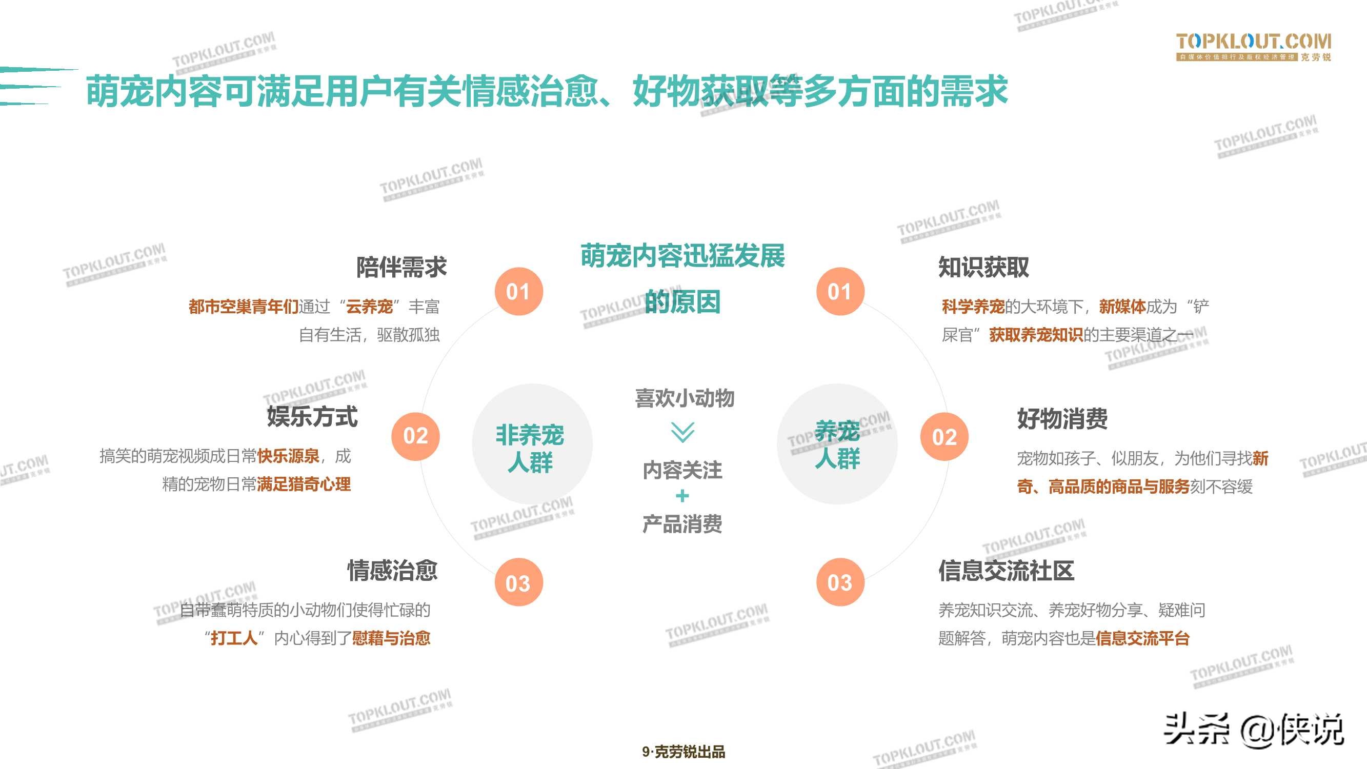 克劳锐：2020萌宠内容生态下的宠物经济