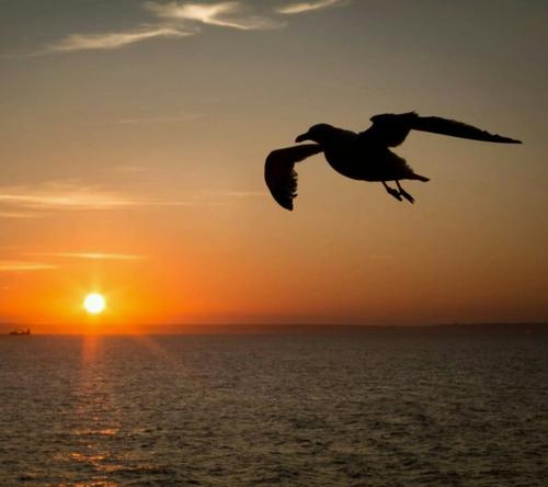 人间正道是沧桑:人生一世,真的都是老天爷安排好的吗?