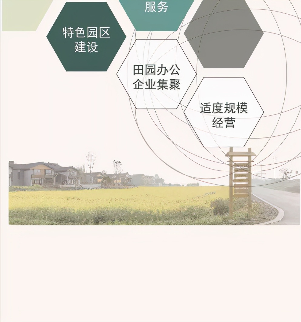 乡村振兴高质量发展十条政策