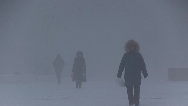 极端天气肆虐北极，连续1个月-40°C，最冷的时候还没杀到