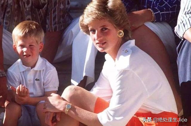 哈里向戴安娜支持的慈善机构传递最真挚情感，