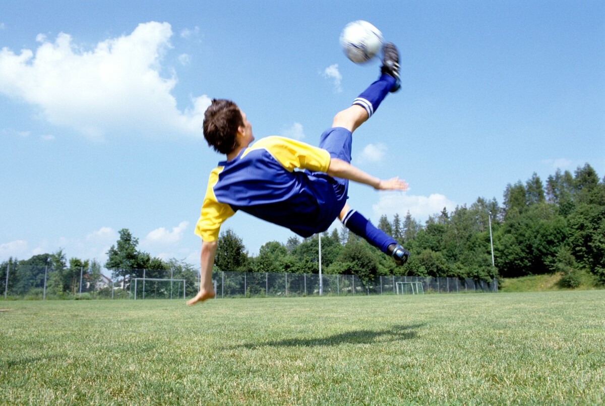 体育馆教务管理系统一般有哪些功能？